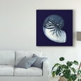 thumbnail image 3 of Trademark Fine Art 'Y SE PAPER Indigo Shells VII' Canvas Art by Vision Studio, 3 of 4