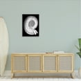thumbnail image 2 of Stupell Industries Spiral Sea Life Beach Shell Modern Fractal Graphic Art Black Framed Art Print Wall Art, Design by Graffitee Studios, 2 of 7