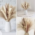 thumbnail image 2 of 75PCS Natural Dried Pampas Grass Bouquet 17.5 inches, Reed Flower, Brown pompas, White pampus, Ideal for Boho Wedding Decor, Modern Home Living Room Bedroom Bathroom Bohemian Long Lasting vase Filler, 2 of 8