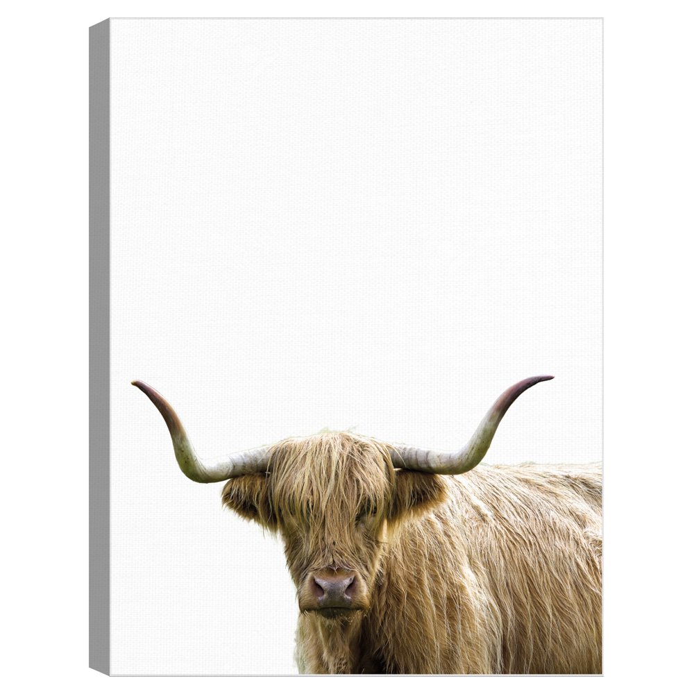 bonny canvas