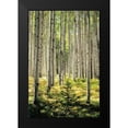 thumbnail image 2 of Small and Tall 13x18 Black Modern Framed Museum Art Print Titled - Small and Tall, 2 of 5