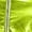 Green, variant on Womens Alien Cosplay Costume Metallic Shiny Tutu Dress Space Outfits Halloween Fancy Party Dress Up Blue L
