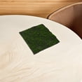 thumbnail image 1 of WHAMVOX Musgo Artificial Duradero Para Manualidades Y De Plantas En Macetas, 1 of 6