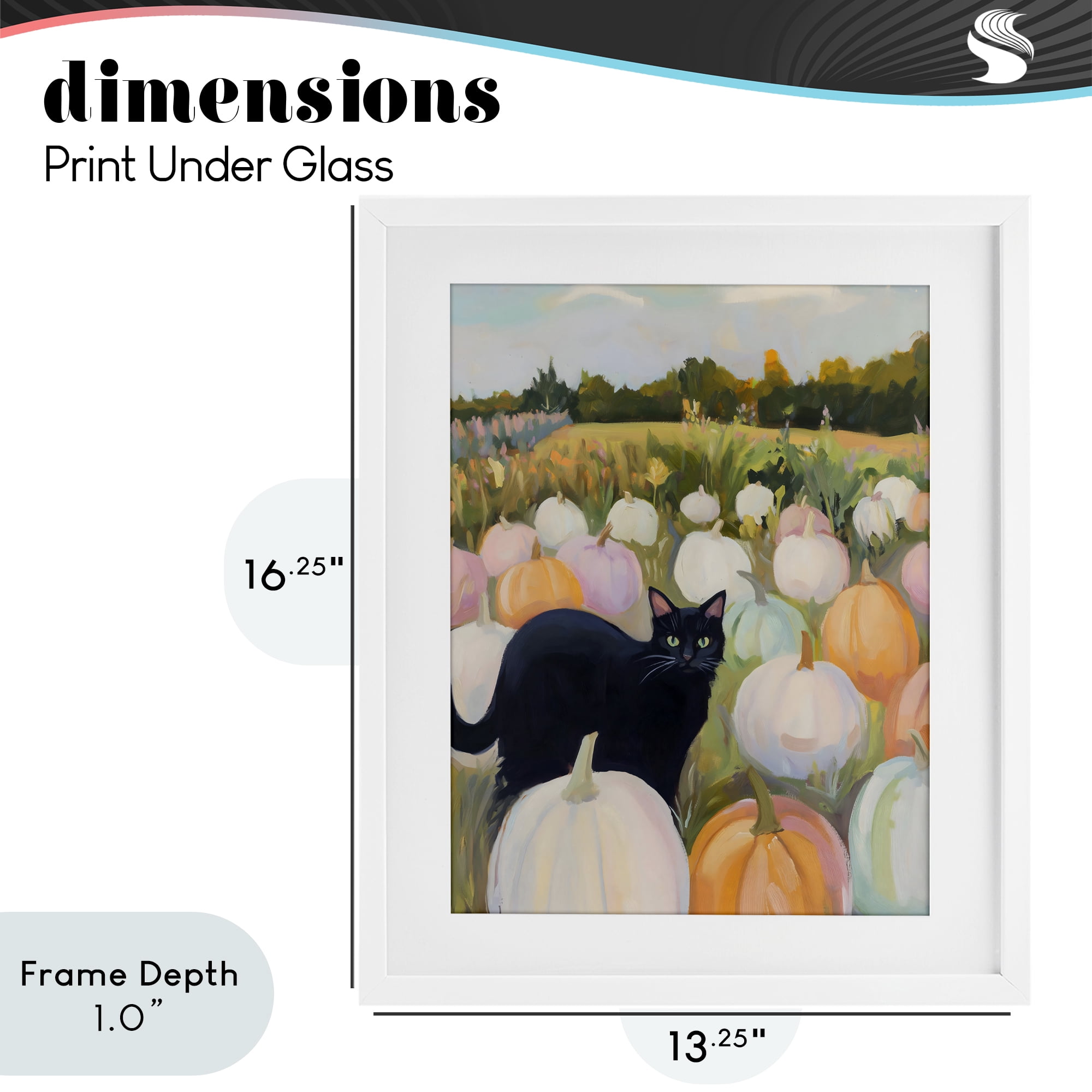 Stupell Industries Kitten & Pumpkins in Field White Framed Print Under Glass, design by The Prints Vibe