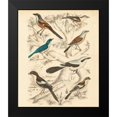 thumbnail image 2 of Milne 20x23 Black Modern Framed Museum Art Print Titled - Avian Habitat V, 2 of 5