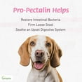 thumbnail image 3 of Vetoquinol Pro-Pectalin Anti-Diarrheal Gel for Dogs and Cats 15mL or 30mL, 3 of 7