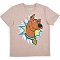 thumbnail image 2 of Warner Bros Scooby Doo Boy's 2-Piece Shirt and Short Set, 2 of 3