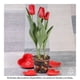 thumbnail image 2 of Tulipán en maceta 6 pulgadas, 2 of 4