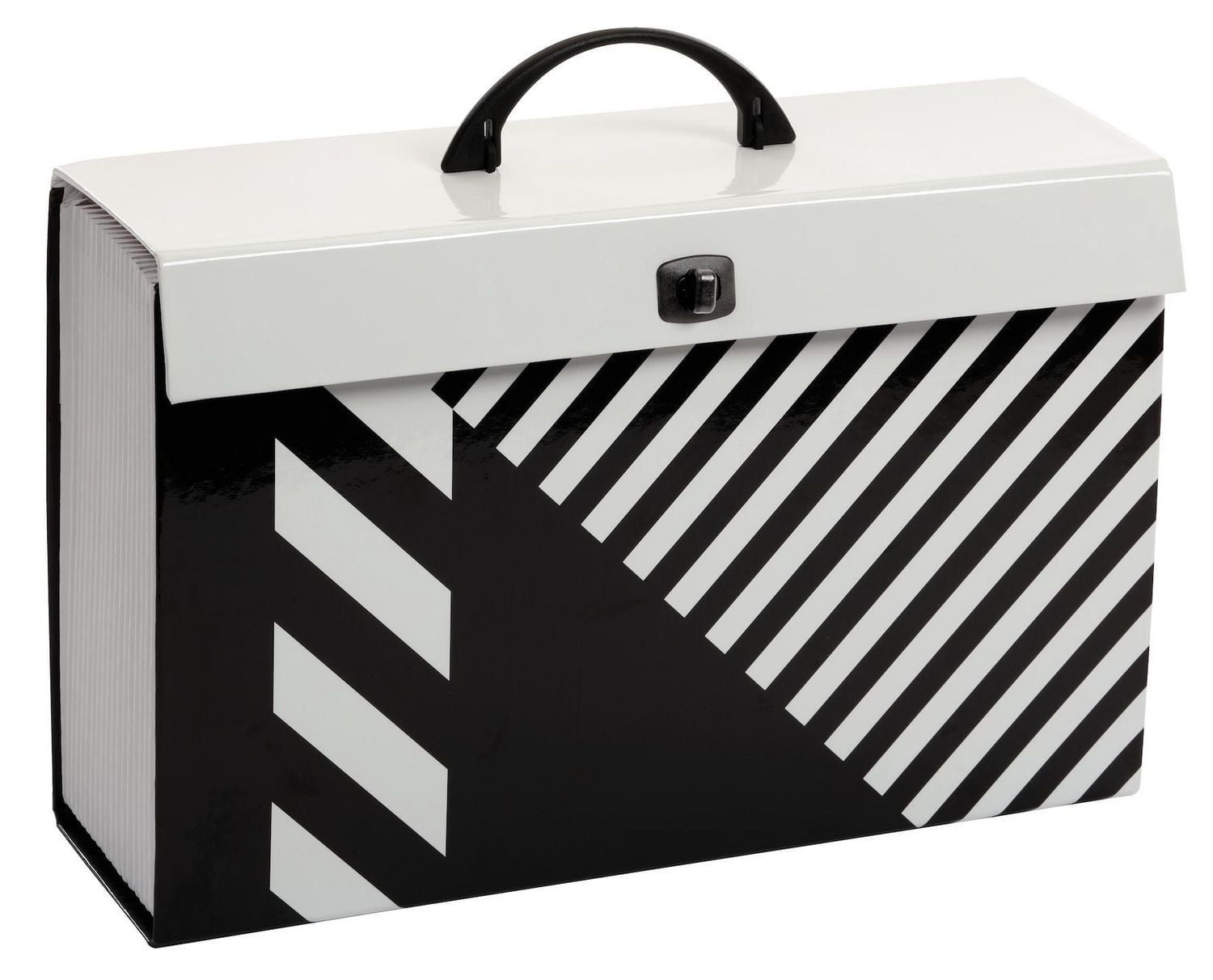 Fashion Case File,19 Pockets - Black and White