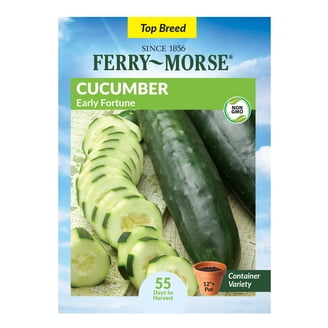 Ferry-Morse 15 PS Tomato Celebration Hybrid Pelleted Annual