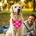 luodu-dog-color-custom-dog-custom-dog-leash-dog-colors-dog-phone-dog