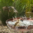 thumbnail image 4 of Bird Bath Standing Diameter Ultra Rustproof Robust Durable Bird Bath Garden Metal Vintage Bird Bath Bath 30 X 80 Cm For Outside Large Frost Proof Bird, 4 of 4