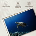 thumbnail image 6 of Elephant Stock Turtle Adventure Wall Art - Horizontal Canvas Wall Art - Living Room Wall Decor - Animal Canvas - Blue And Turquoise Decor - 12" x 8", 6 of 8