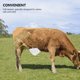 thumbnail image 1 of CRILSTYLEO Herramienta Para Destete De Terneros Cubierta Para Vacas Accesorio Práctico Y Confiable, 1 of 8