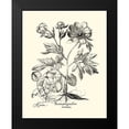thumbnail image 2 of Besler, Basilius 15x18 Black Modern Framed Museum Art Print Titled - Black and White Besler Peony III, 2 of 5