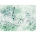 thumbnail image 2 of Prime, Marcus 18x15 Gold Ornate Wood Framed with Double Matting Museum Art Print Titled - Marble And Bunnies, 2 of 4