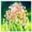 D, variant on Lily of the Valley, Low Maintenance - Easy Grow - Ideal for Beds Borders, Plant Pots & Planters