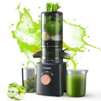 Juicer Machines, TUUMIIST Cold Press Juicer with 4.6'' Large Feed Chute Fit Whole Vegetable And Fruit, Masticating Juicer Easy To Clean, Dark Gray