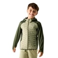thumbnail image 4 of Regatta Boys/Girls Andreson Hybrid Padded Jacket, 4 of 5