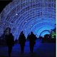 thumbnail image 4 of Paquete de 2 luces decorativas navideñas de 400led de 21 m, mini luces exteriores de guirnalda de alambre verde, luces centelleantes decorativas impermeables de 8 modos para árbol de Navidad, 4 of 5