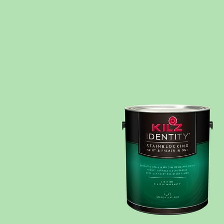 - KILZ IDENTITY Interior/Exterior Stainblocking Paint & Primer in One #RG220-01 Apple Martini, 1 gallon