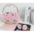 thumbnail image 3 of 16PCS Pink Carnations Artificial Flowers 14.8'' Fake Carnation Silk Flowers with Single Stem Faux Carnations Flowers for Home Table Centerpiece Wedding Decor Floral Arrangements (Light Pink), 3 of 14