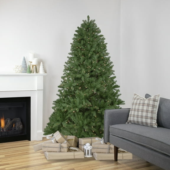 Northlight 6.5' Pre-Lit Full Sierra Noble Fir Artificial Christmas Tree, Clear Lights
