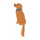 thumbnail image 3 of Ganchos de pared adhesivos reutilizables con gancho de animales toalla colgante flexible, 3 of 8