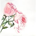 thumbnail image 2 of Atelier B Art Studio 15x15 White Modern Wood Framed Museum Art Print Titled - Watercolor Pink Roses, 2 of 4