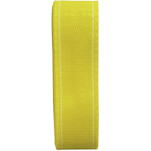Thermwell Prods. Co. PW39Y 2 1/4" Wide 39' Long Yellow Webbing, Pack of 2