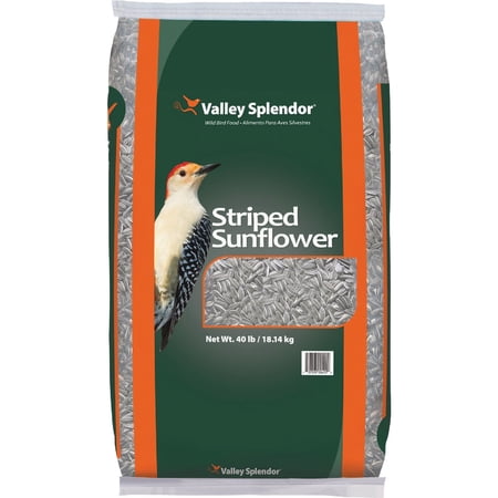 Red River Commodities Valley Splendor Sunflower Seed Bird Seed - Pack of 2