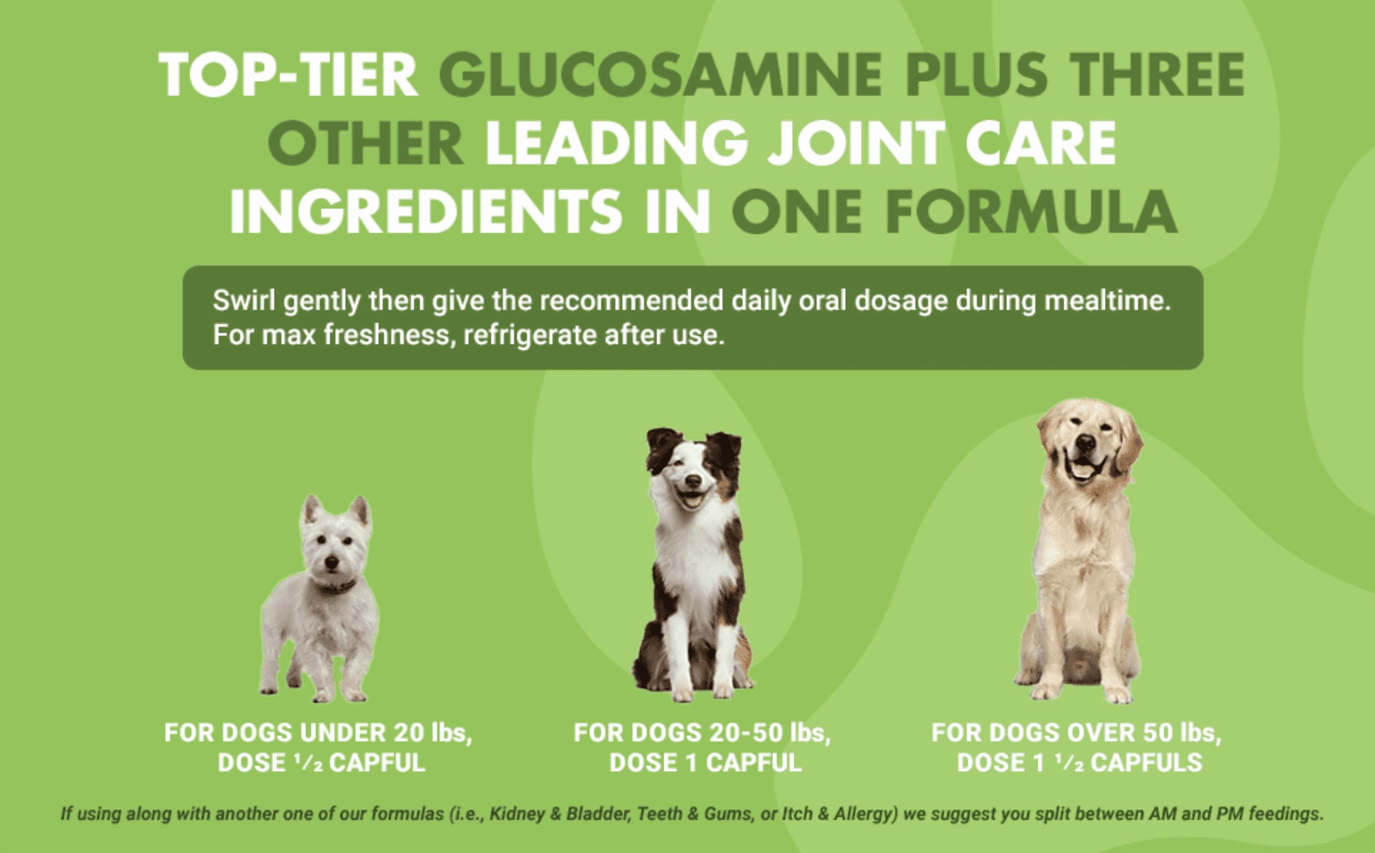 Liquid-Vet Hip & Joint Wellness Supplement for Dogs with Glucosamine, Pot Roast, 16 oz