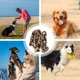 thumbnail image 5 of Correas Para Perros Cadenas Para Perros Cadena Grande Para C, 5 of 6