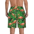 thumbnail image 3 of Naloa Flamingo Men's Beach Shorts, Surfing shorts, Swim trunks, Quick Dry Swim Trunks for Surfing Beach Fun - Large, 3 of 9