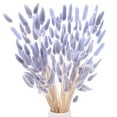 thumbnail image 1 of Uxcell 120-Pack Hierba de Colas de Conejo 17 Pulgadas Hierba de Cola de Conejo Esponjosa Flores Secas para el Hogar/Boda [Púrpura Claro], 1 of 1
