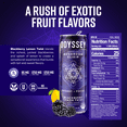 thumbnail image 3 of Odyssey Elixir Energy and Focus Sparkling Mushroom Drink, Blackberry Lemon Twist Flavor 12 Fl oz (Pack of 12), 3 of 6