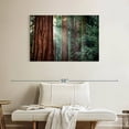 thumbnail image 2 of Elephant Stock Sunkissed Sequoia Trees Wall Art - Horizontal Canvas Wall Art - Living Room Wall Decor - Floral And Botanical Canvas - Green And Brown Decor - 39" x 26", 2 of 8