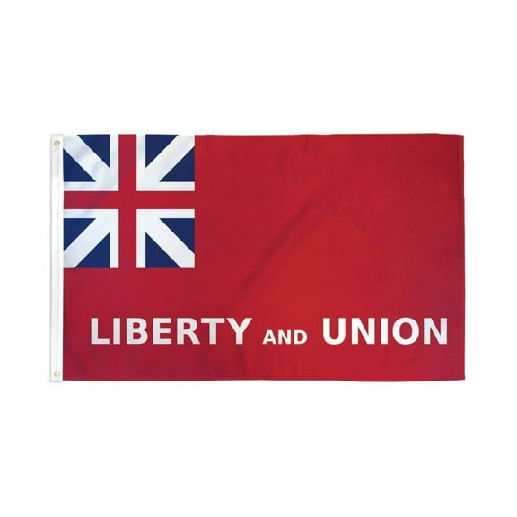 Taunton Flag 3x5ft Poly