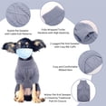 thumbnail image 3 of Pull en Tricot Solide Chaud Chien Col Roulé Vêtements d'Automne/hiver, 3 of 5