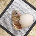 thumbnail image 1 of WEUVEB 4Pcs Terrarium Heating Pad Reflective Film Warm Insulation Mat for Pet Comfortable Rest, 1 of 6