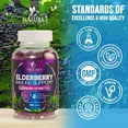 thumbnail image 5 of Elderberry Immune Support Gummies - Powerful Black Elderberry Extract Sambucus Nigra Vitamin Supplement - Natural Daily Immune Support Adults & Kids Ages 4+ Love - Delicious Berry Flavor, 120 Gummies, 5 of 10