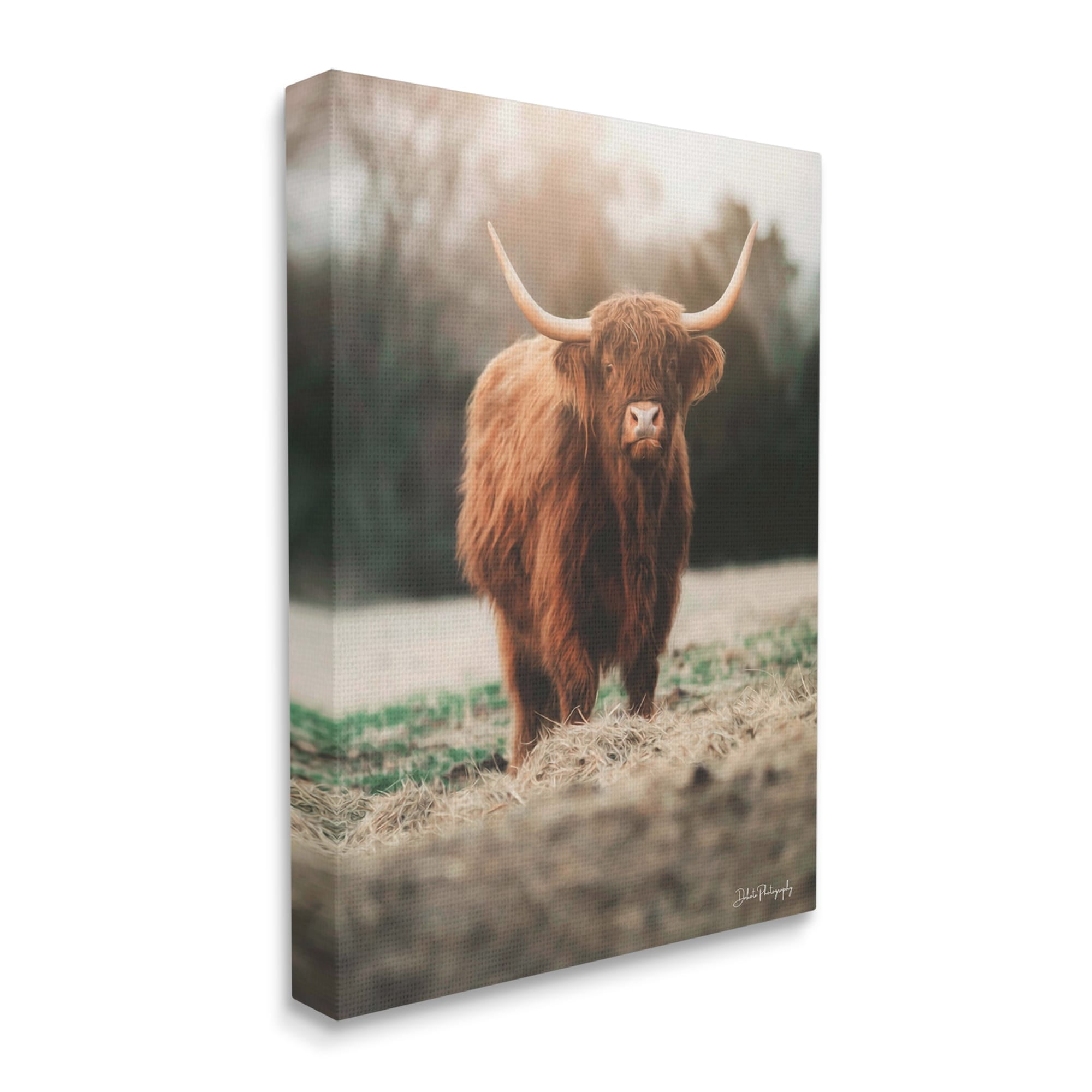 Stupell Rural Farm Pasture Cattle Animals & Insects Photography Gallery Wrapped Canvas Print Wall Art