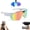 white Colorful lenses B, variant on 4K HD Video Camera Baseball Glasses with Camera POV Pro Sports Glasses Recording Action Cameras Sunglasses 2026 Upgrade Smart Video Recording Glasses for Action Sports with Memory (White A)