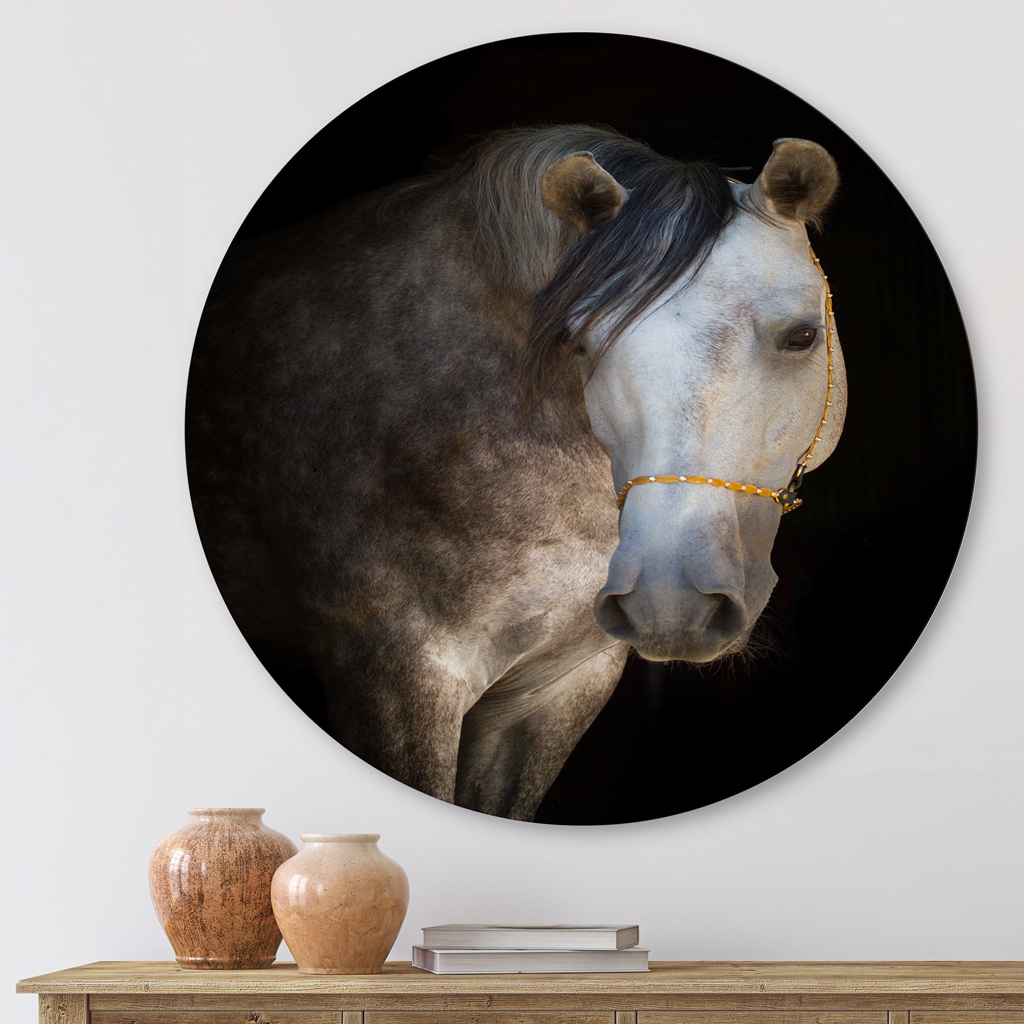 Designart 'Close Up Portrait Of A White Horse' Farmhouse Circle Metal Wall Art 23x23 - Disc of 23