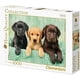 thumbnail image 3 of Rompecabezas Cachorros Labrador Clementoni High Quality Collection 1000 Piezas, 3 of 4