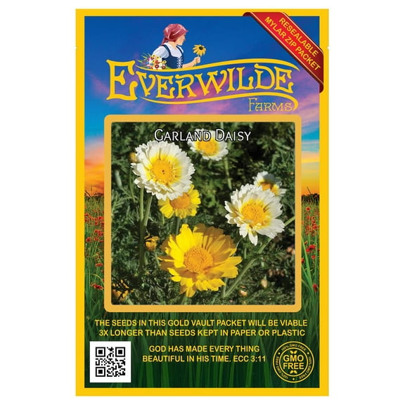 Everwilde Farms - 2000 Garland Daisy Garden Flower Seeds - Gold Vault Jumbo Bulk Seed Packet