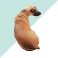 thumbnail image 4 of almohada 3D para perro Arco Iris Latino cojín de peluche con forma de animal 50cm, 4 of 4
