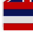 thumbnail image 3 of Hawaii Flag Hawaiian Islands Banner HI State Banner New Indoor Outdoor 3x5 Foot, 3 of 3