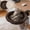 White + Brown, variant on Cozy Cat Desk Bed for Home Office, Sunken Foldable Cat Hammock with 2 Cushions Dual-Sided Reversible, Breathable and Warm Kitten Bed for Table, Space Saving Bedside Circular Cat Bed Supports 40 lb
