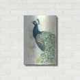 thumbnail image 3 of Luxe Metal Art 'Watercolor Peacock Portrait II' by Grace Popp, Metal Wall Art Glass, 16" x 24", 3 of 9